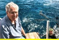 Elstners Reisen – Geht er selbst auch ins Wasser? Frank Elstner beobachtet seinen Freund Matthias Reinschmidt, der inmitten von Riffhaien taucht.