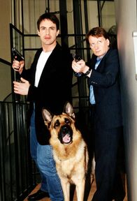 Kommissar Rex – Kommissar Brandtner (Gedeon Burkhard, l.) und Kommissar Böck (Heinz Weixelbraun, r.) verfolgen zusammen mit Rex einen Verdächtigen.