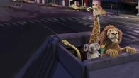 Tierisch wild – Sa, 04.04., 10:35 Uhr
