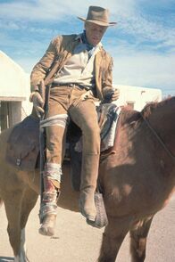 Alamo – Col. Jim Bowie (Richard Widmark)