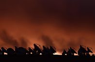 Leben im All – ALMA: ein internationales Radioteleskop-Observatorium in den nordchilenischen Anden