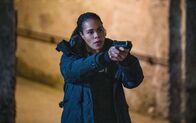 FBI: Most Wanted – Special Agent Sheryll Barnes (Roxy Sternberg)