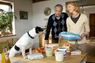 In aller Freundschaft – Auch im Hause Simoni steht Weihnachten vor der Tür. Die Einkäufe sind erledigt. Nun wollen Ingrid (Jutta Kammann) und Prof. Simoni (Dieter Bellmann) einen Weihnachtsbaum besorgen. Simoni ist unschlüssig, ob sich Hugo zwischen den vielen Menschen auf dem Weihnachtsmarkt wohl fühlen wird, doch Ingrid hat keine Zweifel.
