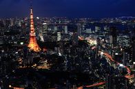 Wildes Japan - Land der tausend Inseln – Tokyo Tower bei Nacht