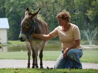 Tierische Freundschaften – Mo, 15.12., 17:55 Uhr