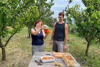 Zu Tisch ... – Zu Tisch Mähren – Tschechische Republik Die Familie Ilčíková kocht gemeinsam Copyright: SRF/Reiner Bauer