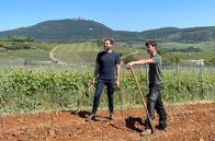 Roots – Winzer Mathieu Deiss (re.) erklärt Pierre Girard (li.), dass er für eine vielfältige Tier- und Pflanzenwelt mit den gängigen Richtlinien im Weinbau bricht.