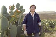 Im Bauch von ... – Marinella Romano bietet Kaktusfeigen von ihrer Plantage bei Roccapalumba auf dem Ballarò feil.