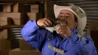 Storage Wars - Geschäfte in Texas – Sa, 09.03., 18:10 Uhr