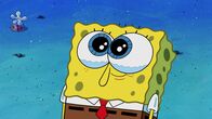 SpongeBob Schwammkopf – SpongeBob