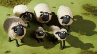 Shaun das Schaf – Shaun das Schaf (2020)