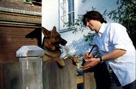 Kommissar Rex – Kommissar Moser (Tobias Moretti, r.) will endlich seinen Zaun reparieren, aber Rex macht ihm mal wieder einen Strich durch die Rechnung.