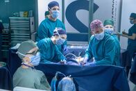 The Good Doctor – The Good Doctor (2017)