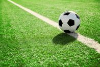 Fußball: Testspiel – Fußball: Testspiel