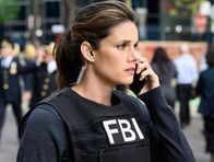FBI: Special Crime Unit – FBI: Special Crime Unit (2021)