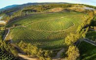 Unsere große kleine Farm – Auf APRICOT LANE FARMS wachsen heute 10.000 Obstbäume mit über 75 verschiedenen Steinobstsorten, es gibt eine biodynamische Avocado- und eine Zitronenplantage.