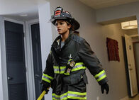Chicago Fire – Chicago Fire (2014)