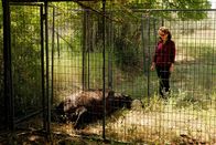 Das Geheimnis der Skinwalker Ranch – Secret of Skinwalker Ranch_The_Das Geheimnis der Skinwalker Ranch Staffel1 EP Fragwuerdige Anomalien