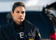 FBI: Special Crime Unit – FBI: Special Crime Unit (2020)