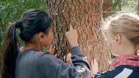 SommerCamp - Back To the Roots – Ha Chau und Matilda hören den Baum ab.
