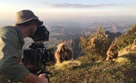 Feindselige Erde – Äthiopien - Kameramann Miguel Willis filmt Gelada-Affen im Simien Mountain National Park, Äthiopien.