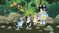 Bluey – Bluey (l.), Bingo (2.v.r.), Bandit (r.)
