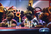 ALF – ALF (1988)