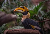 Zoo und so - Tierisch wild! – Fr, 19.08., 00:50 Uhr