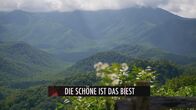 Wenn Liebe tötet – Wenn Liebe tötet (2013)