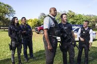 Hawaii Five-0 – (v.l.n.r.) Tani Rey (Meaghan Rath); Junior Reigns (Beulah Koale); Lou Grover (Chi McBride); Steve McGarrett (Alex O'Loughlin); Danny Williams (Scott Caan)
