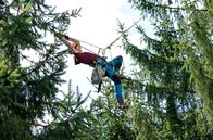 Der Ranger - Paradies Heimat – Die erfahrene Klettererin Laura Bothe (Giulia Goldammer) ist bei der Zapfenernte in schwindelerregenden Höhen unterwegs.