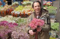 Die Tricks ... – Jo Hiller recherchiert auf dem Hamburger Blumengroßmarkt über die Produktion und den Handel mit Blumen und Pflanzen.