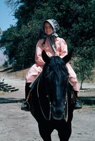 Unsere kleine Farm – Laura Ingalls (Melissa Gilbert)