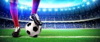 Fußball: Champions League – Football player in the stadium