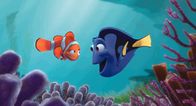 Findet Nemo – Nemo, Doris