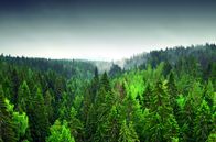 Unterwegs im hohen Norden – Finnland liegt am nordöstlichen Rand Europas.