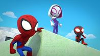 Spidey und seine Super-Freunde – L-R: Spidey, Ghost-Spider, Spin