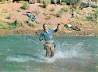 Inferno am Fluss – Blue (Terence Stamp)