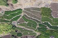 Stadt Land Kunst – In der wasserarmen Gegend der Insel Santo Antão im Norden der Kapverden haben Menschen ein grünes Paradies erschaffen  mit Hilfe der Levadas, einem ausgeklügelten Bewässerungssystem.