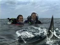 Open Water – Durch einen dummen Irrtum, bei dem die Namen der beiden nicht auf der Passagierliste landen, kommt es zum Unvermeidlichen. Das Boot fährt ohne Susan und Daniel zum Hafen zurück und lässt die beiden auf dem offenen Meer zurück.
