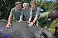 Elstners Reisen – Frank Elstner musste ganz nah an die betäubten Nashörner heran und half dabei diese mit Wasser zu kühlen. Immer mit dabei: Matthias Reinschmidt (r.) und Johannes Kirchgatter vom WWF.