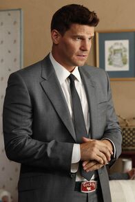 Bones - Die Knochenjägerin – Seeley Booth (David Boreanaz)