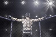 Mixed Martial Arts – Mma fighter in cage celebrating win, view from behind
