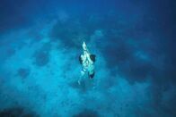 Apnoe-Tauchen – Leidenschaftliche Freediver