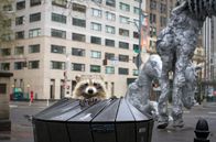 Inselwelt New York – In dieser riesigen Metropole, in der rund 8,5 Millionen Menschen leben, ist nicht viel Platz für Tiere. Und doch sind sie da, wie dieser Waschbär am Central Park.