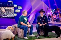 1, 2 oder 3 – Der Beruf des Wanderschäfers ist schon sehr alt und sehr wichtig. Studiogast Jonas Henninger (r.) erklärt Elton (l.) warum.