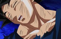 Dragon Ball Super – Fr, 01.05., 12:50 Uhr