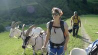 Schweizer Flussgeschichten – Trecking mit Packziegen.