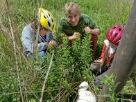 Löwenzahn – Ganz vorsichtig! Fritz Fuchs (Guido Hammesfahr, Mitte) hat mit Ella (Celine Tanneberger, r.) und Hannes (Bela Baganz, l.) den kleinen Storch entdeckt. Er ist aus dem Nest gefallen.