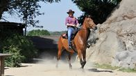 TanzAlarm – TanzAlarm - Cowboy 1;